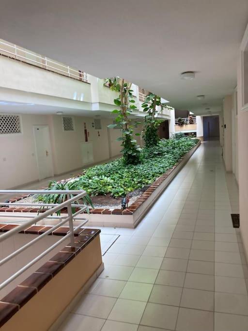 Apartament Sunset Aliss Puerto de Santiago  Kültér fotó
